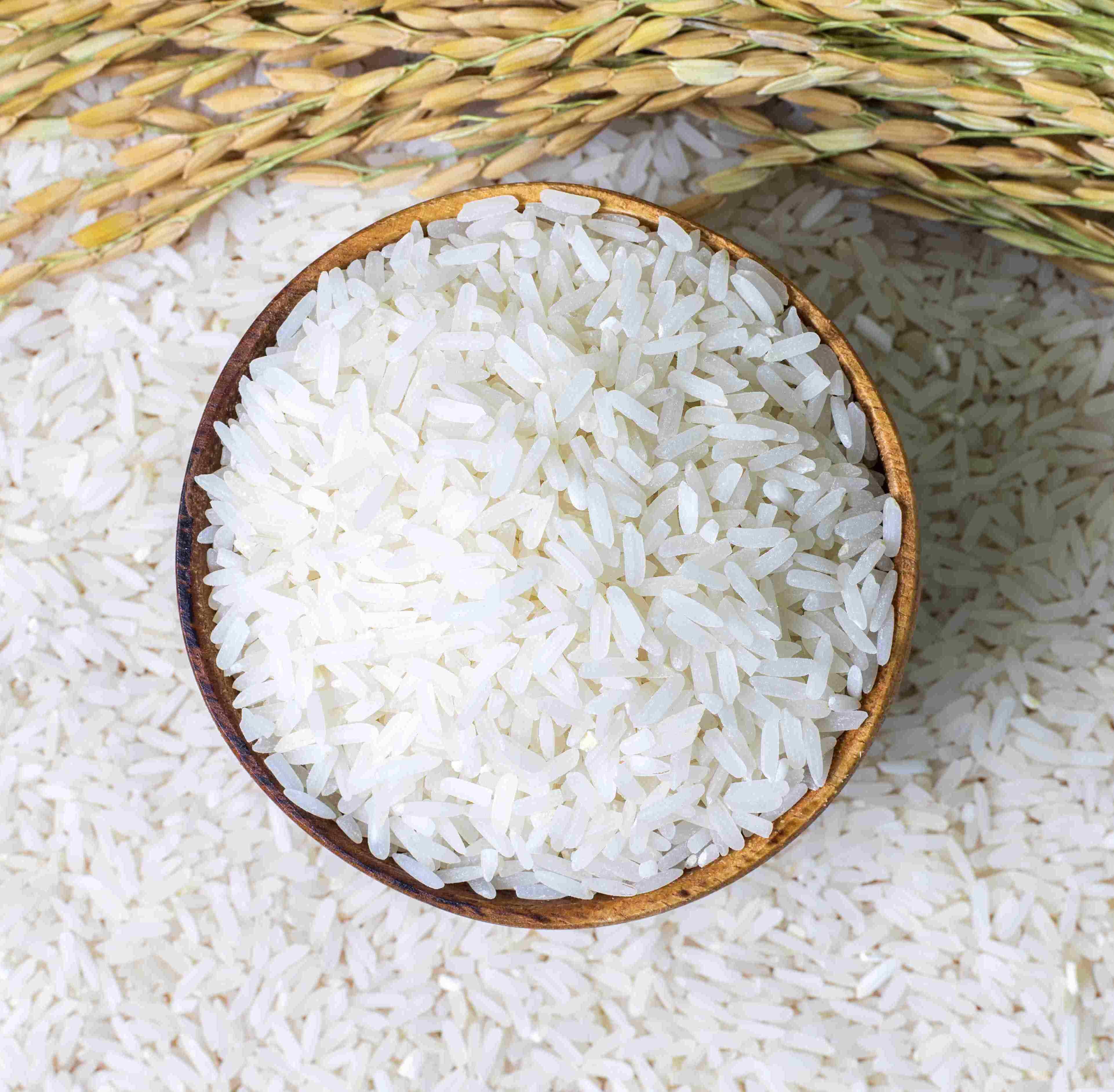 Rusi For Rice Krushi
